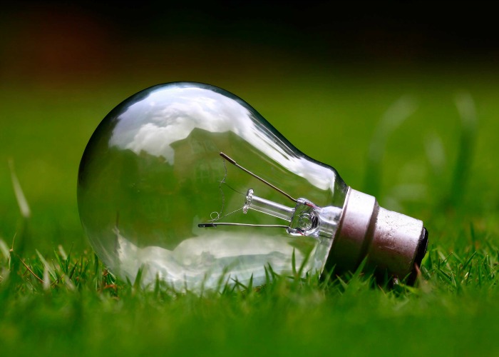 Lightbulb on grass